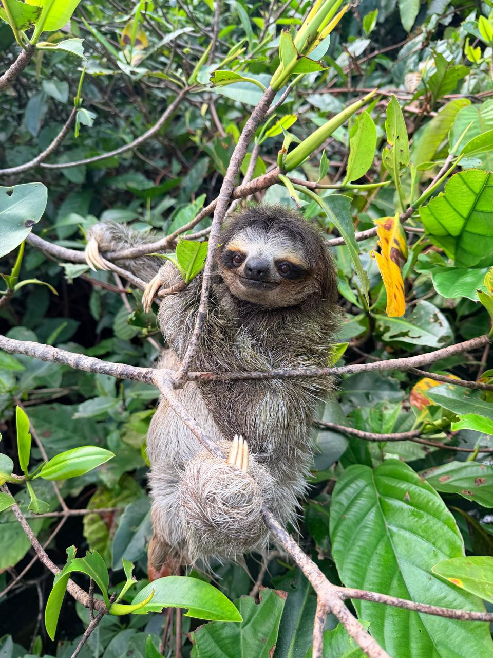 WhatsApp Image 2026-01-10 at 2.11.17 PM.jpeg