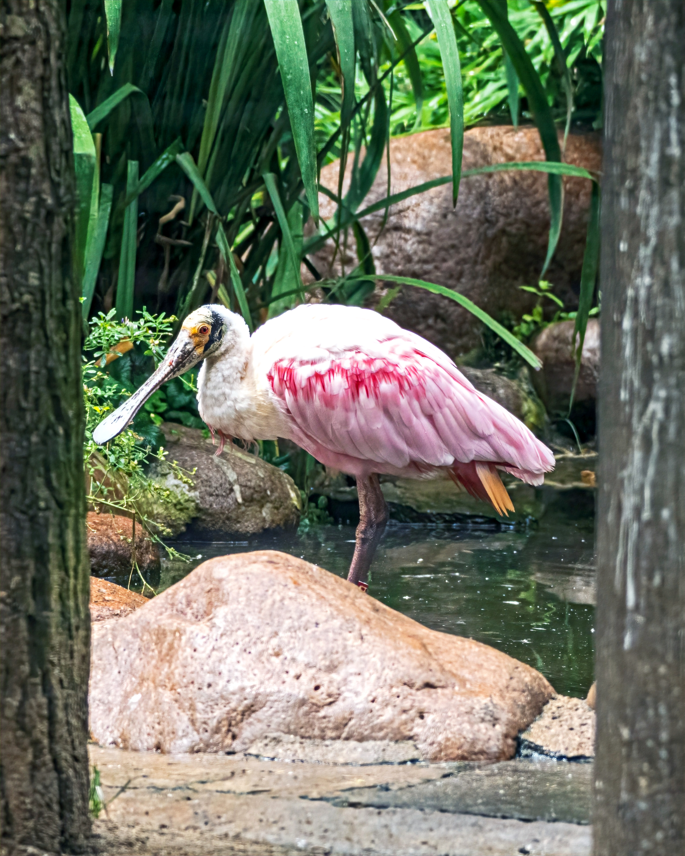 Image by Marian Florinel Condruz