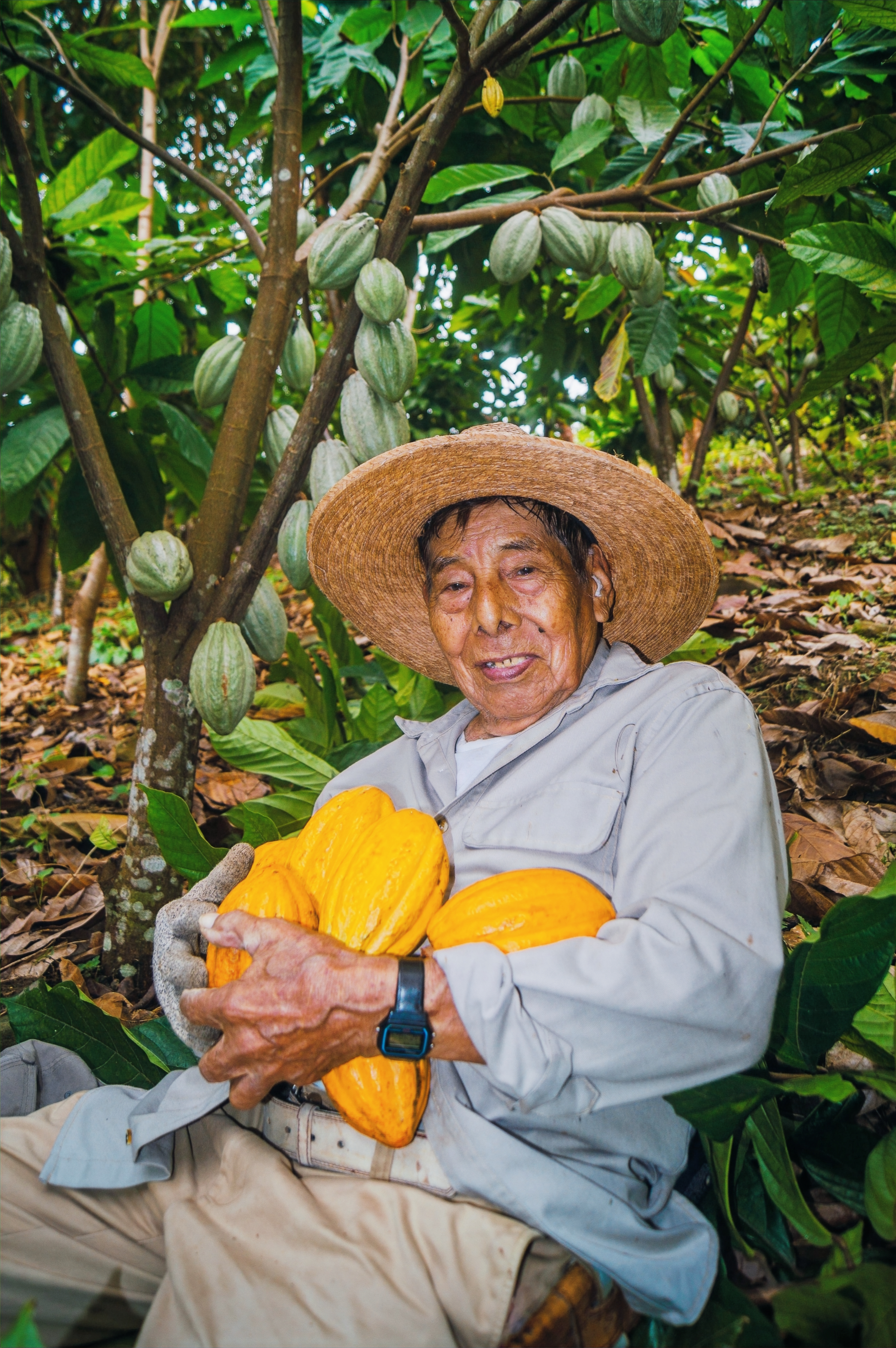 Image by Camilo Contreras