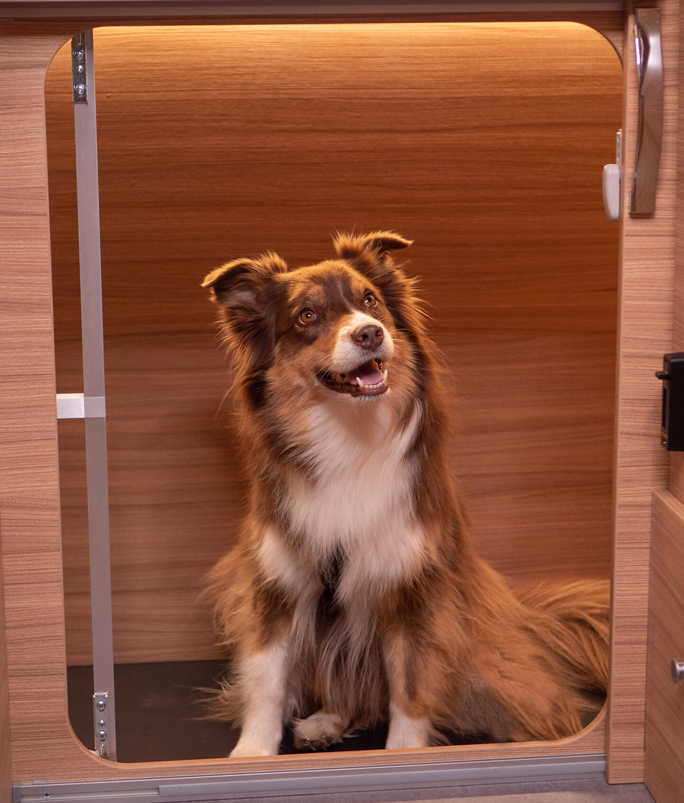 Hundebox Innen.jpg