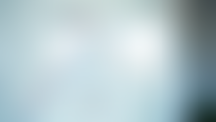 Understanding the Role of Models in Econometrics and Their Real-World Applications