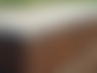 Understanding Site-Structure Interaction in Geomechanics for Better Design Outcomes