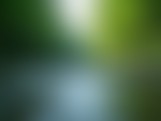 Understanding Hydrological Production and Its Associated Processes