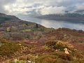 IMG_5090.jpeg