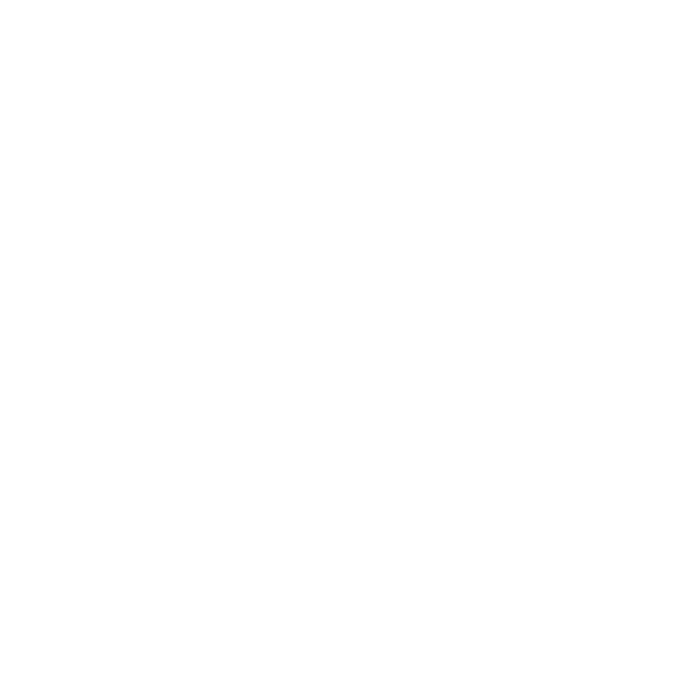 Nady Logo copy.gif