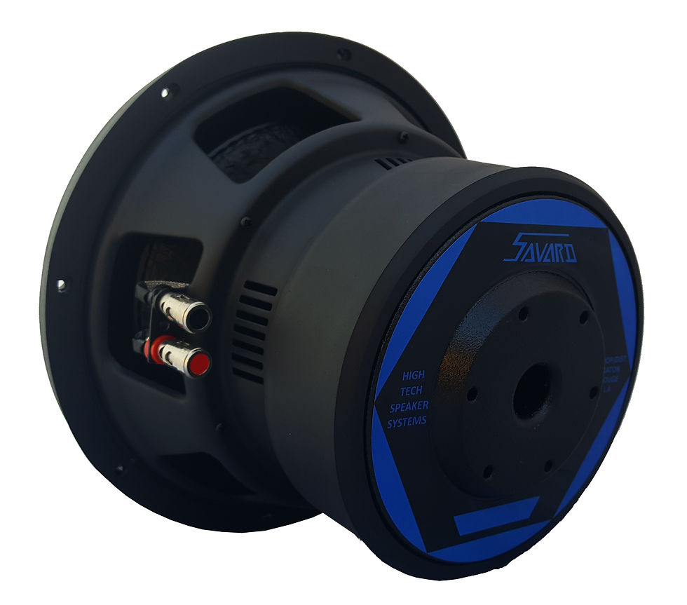 Thumbnail: RAP 10" D2/D4 v2 Subwoofer