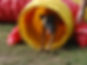 CSC_3857.JPG