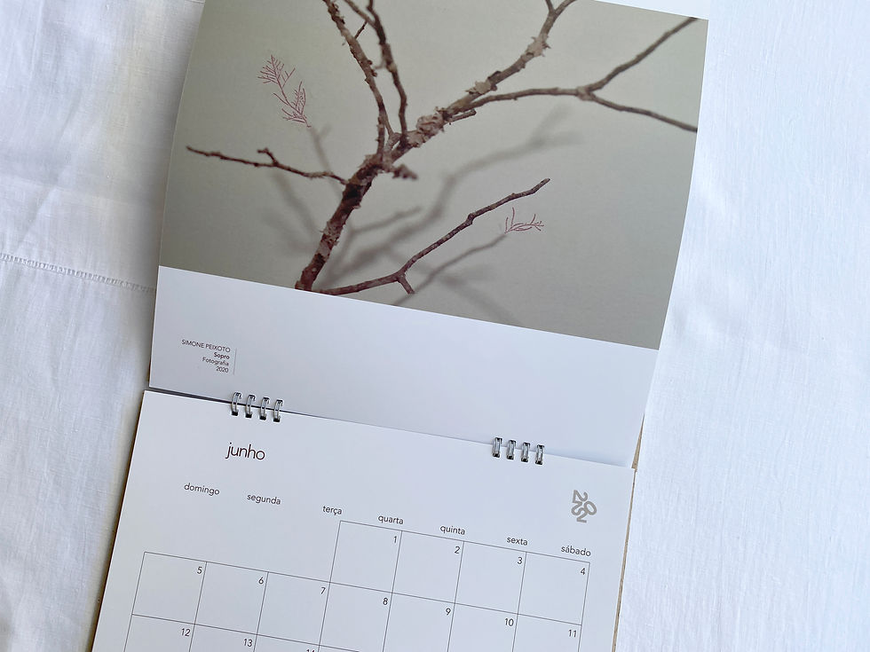 Miniatura: Calendário Casa de Eva 2022