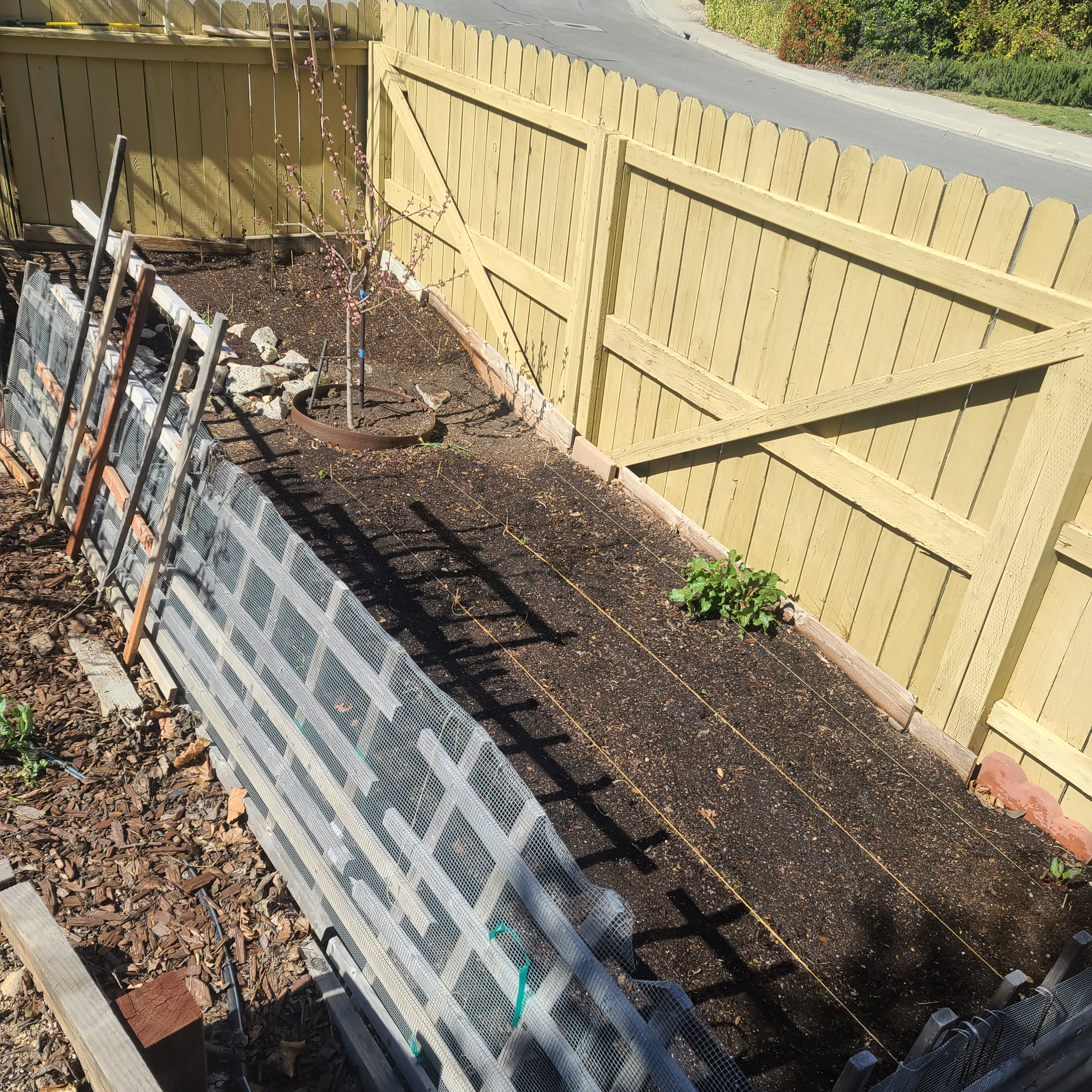 Garden prep for start of the year