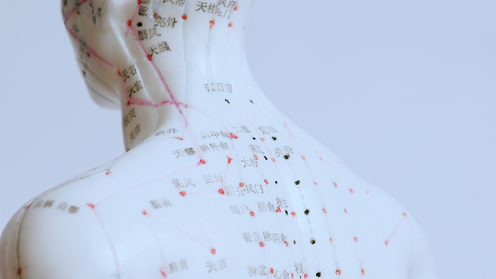 Untitled design (10).png