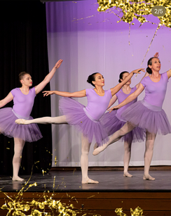 Screen Shot 2022-09-29 at 12.00.04 pm.png