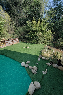 Jardin avec piscine et pierres décoratives.png