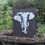 Thumbnail: African Elephant