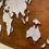 Thumbnail: World Map