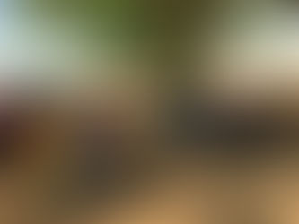 Assessing the Food and Nutrition Status of Machavika Village Through Participatory Approaches