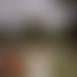 Capturing Forever: The Latest Wedding Photography and Videography Trends in Kenya