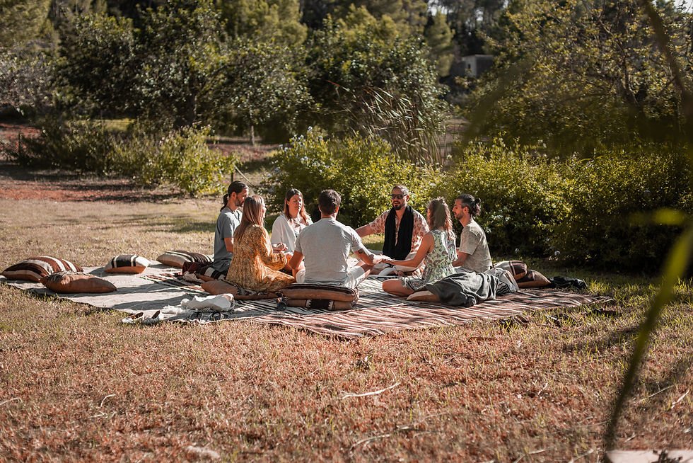 RISE Community Zoom Call