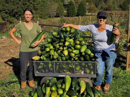 October 21- November 10