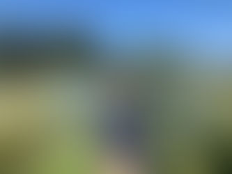 Summertime into Autumn