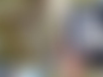 Buchrezension: "Skinny Bitch" von Rory Freedman und Kim Barnouin