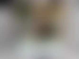 5 Dinge, die ich mir vorgenommen hatte, im 2. Quartal 2024 zu erleben & zu erreichen - plus 63 Dinge, die ich dann ausserdem erlebt & erreicht habe.