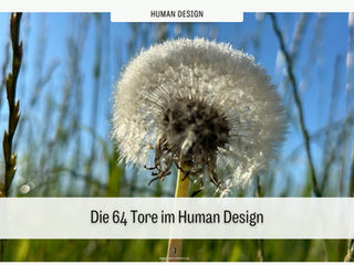 Die 64 Tore im Human Design – eine Übersicht über die Bedeutung und Wirkung