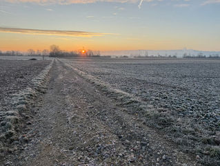 ein Feld morgens bedeckt mit Reif. es sieht kalt aus. im Hintergrund geht die Sonne auf.