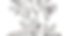 4 1