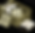 TIN.png