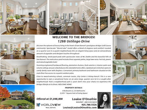 Real Estate Flyers Sample Walnut Creek Danville Alamo Pleasant Hill Concord Martinez Clayton