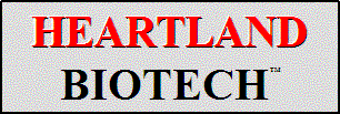 logo4.GIF