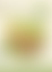 嘉義.樂檸DIY梅酒工作坊