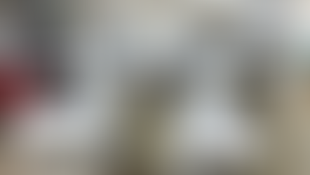 Ziv Neonatal Equipment