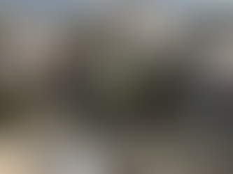 Beit Shemesh: Nine Souls Lost, A Nation in Mourning