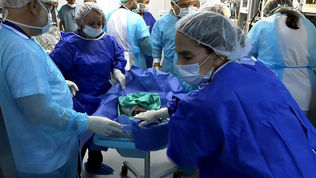 Double Miracle in the North: Two Sets of Triplets Delivered Within Hours at Ziv Medical Center