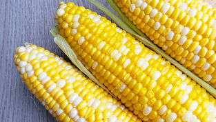 Conheça os benefícios do milho para o nosso organismo
