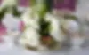 c19c5e_1b9e47be4f6a40f89369cef5546e4930~mv2.webp