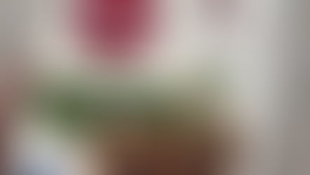 Mary’s Organic Crackers, uma bolachinha saudável para seu lanche da tarde