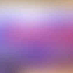 The Arbel Institute's 2024 Summer Conference