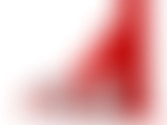 TAX RATES FOR INDIVIDUALS