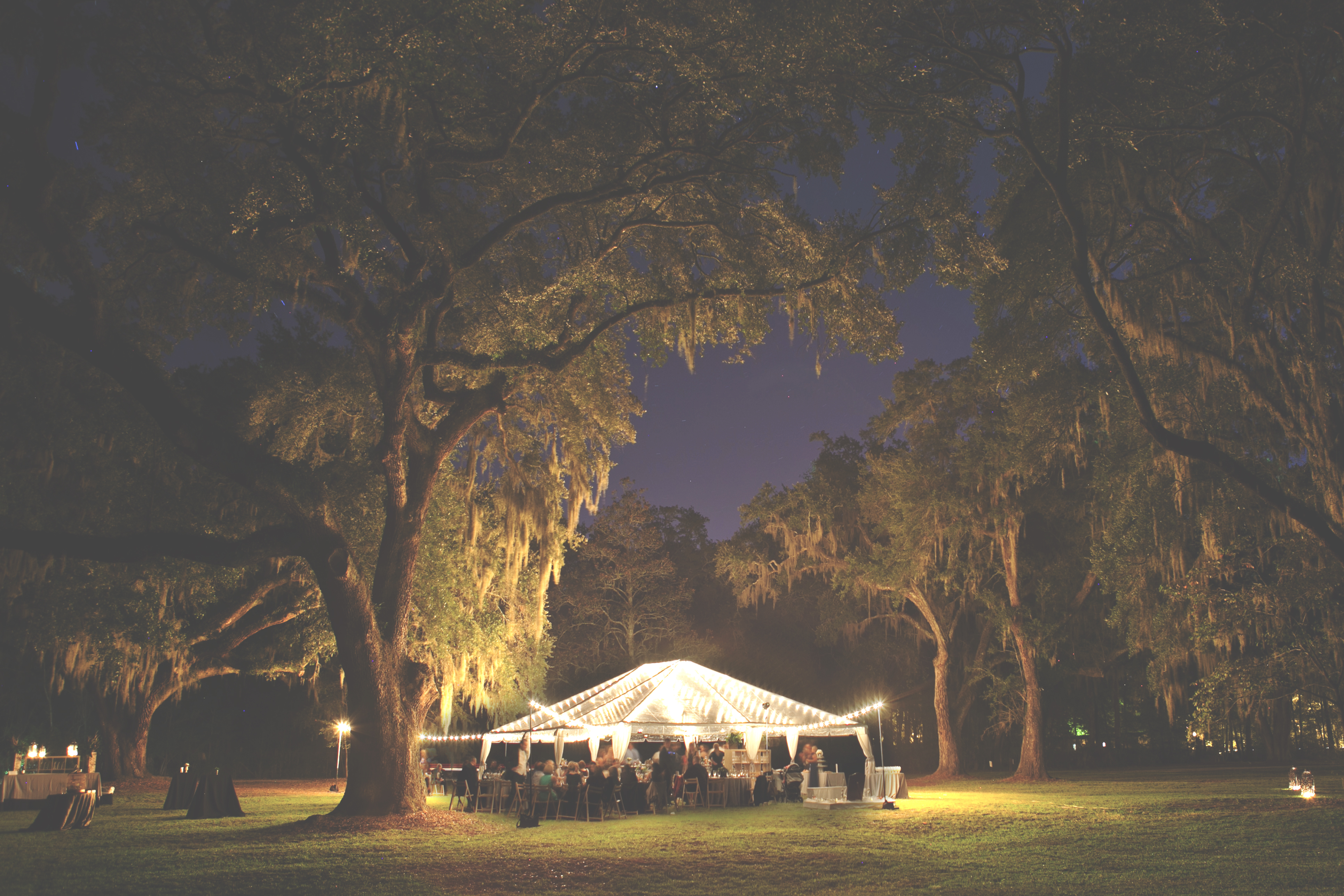 booked on the bayou website