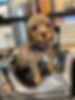 peanut.jpg