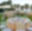 fullsizeoutput_5248.jpeg