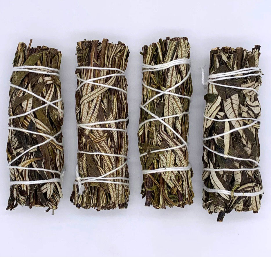 Thumbnail: Yerba Matè Sage 