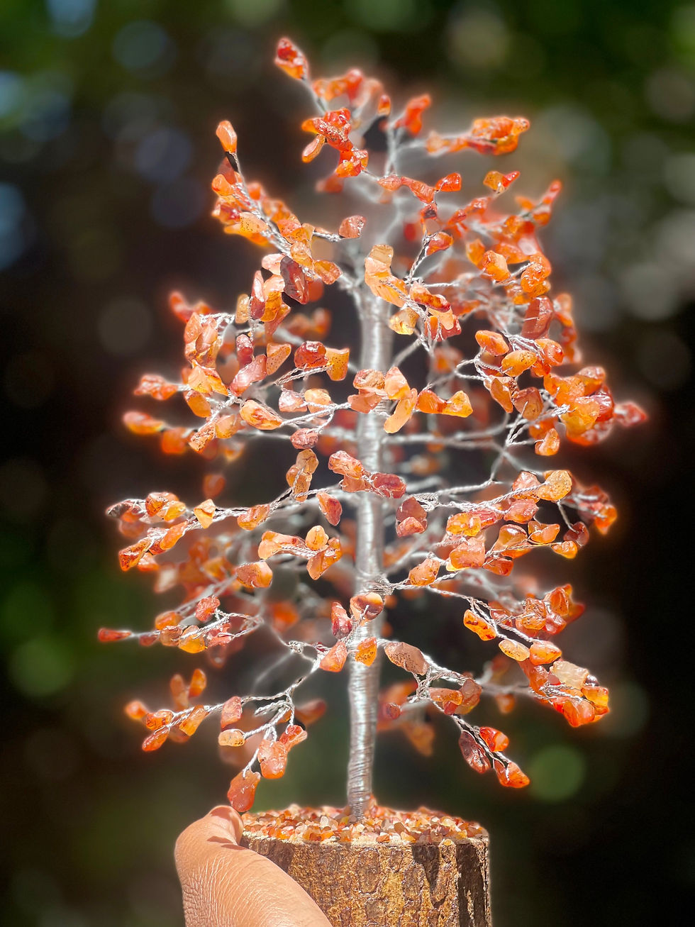 Thumbnail: Carnelian Tree on Wooden Cluster | Large 