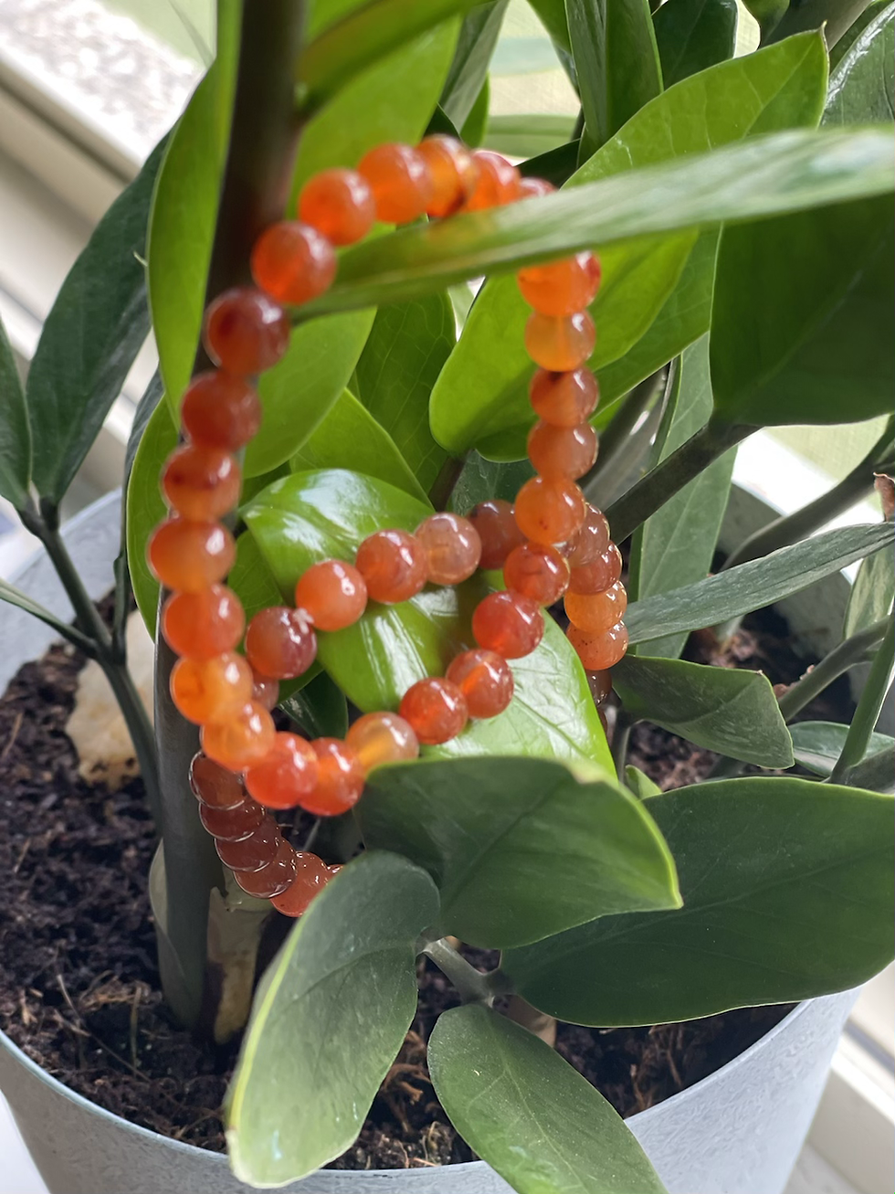 Thumbnail: Red Carnelian 
