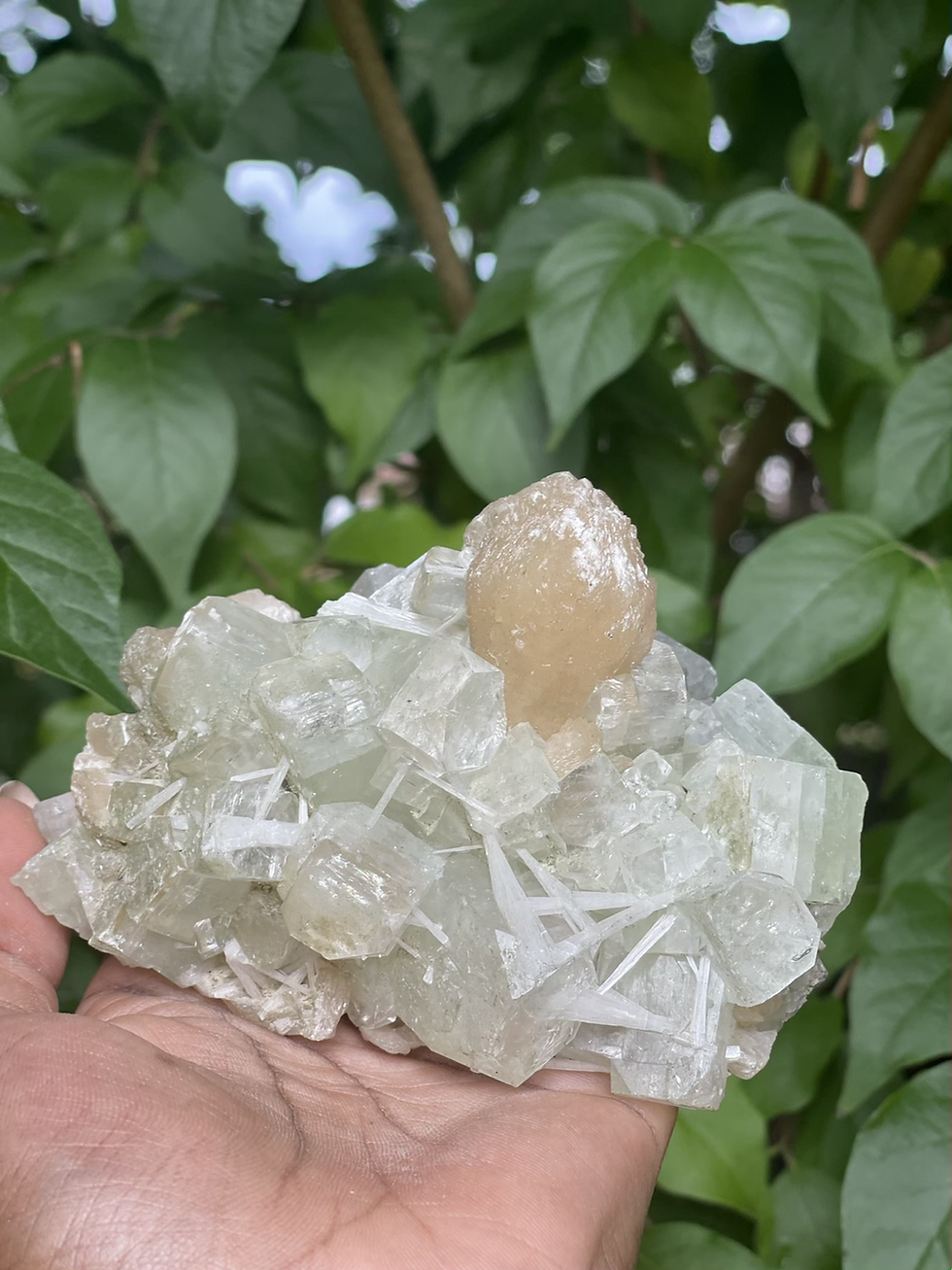 Apophyllite W/Stilbite & Natrolite ~ India
