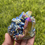 Thumbnail: Titanium Quartz