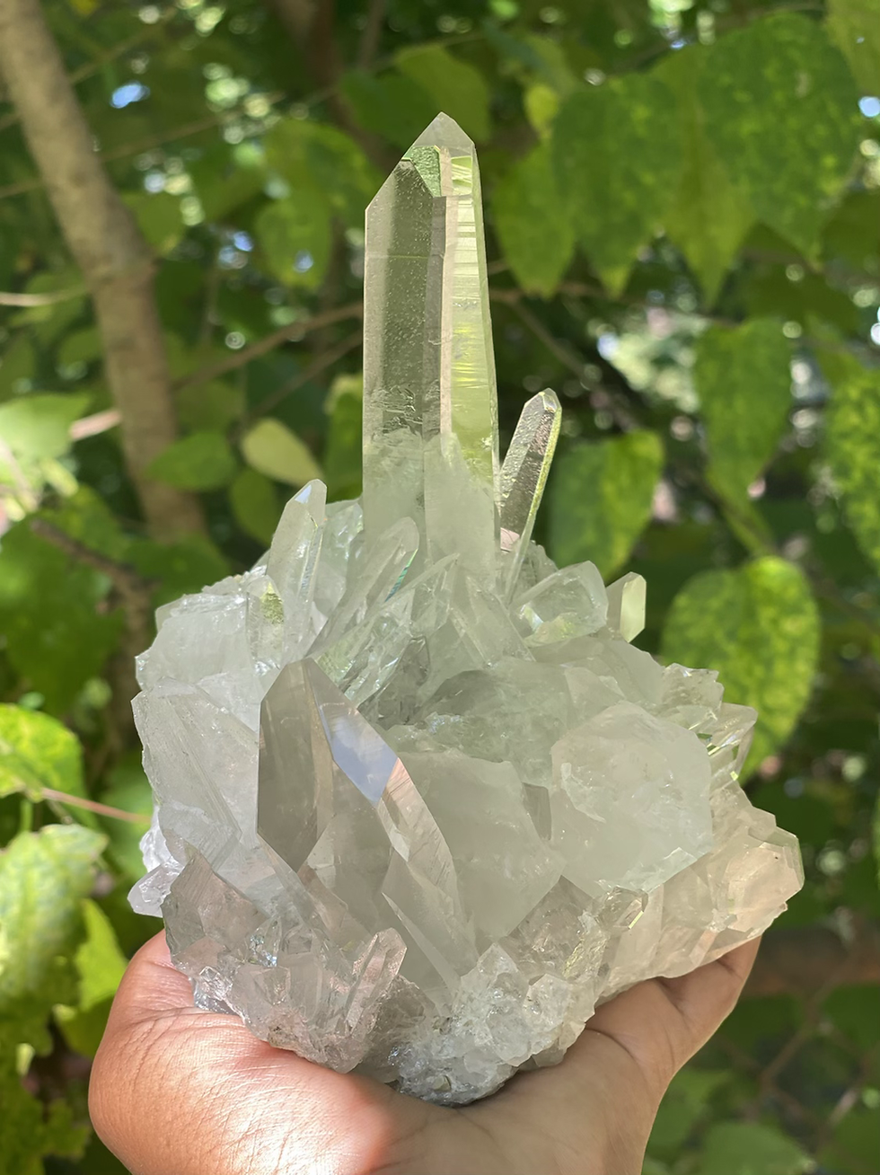 Natural Brazilian Clear Quartz 