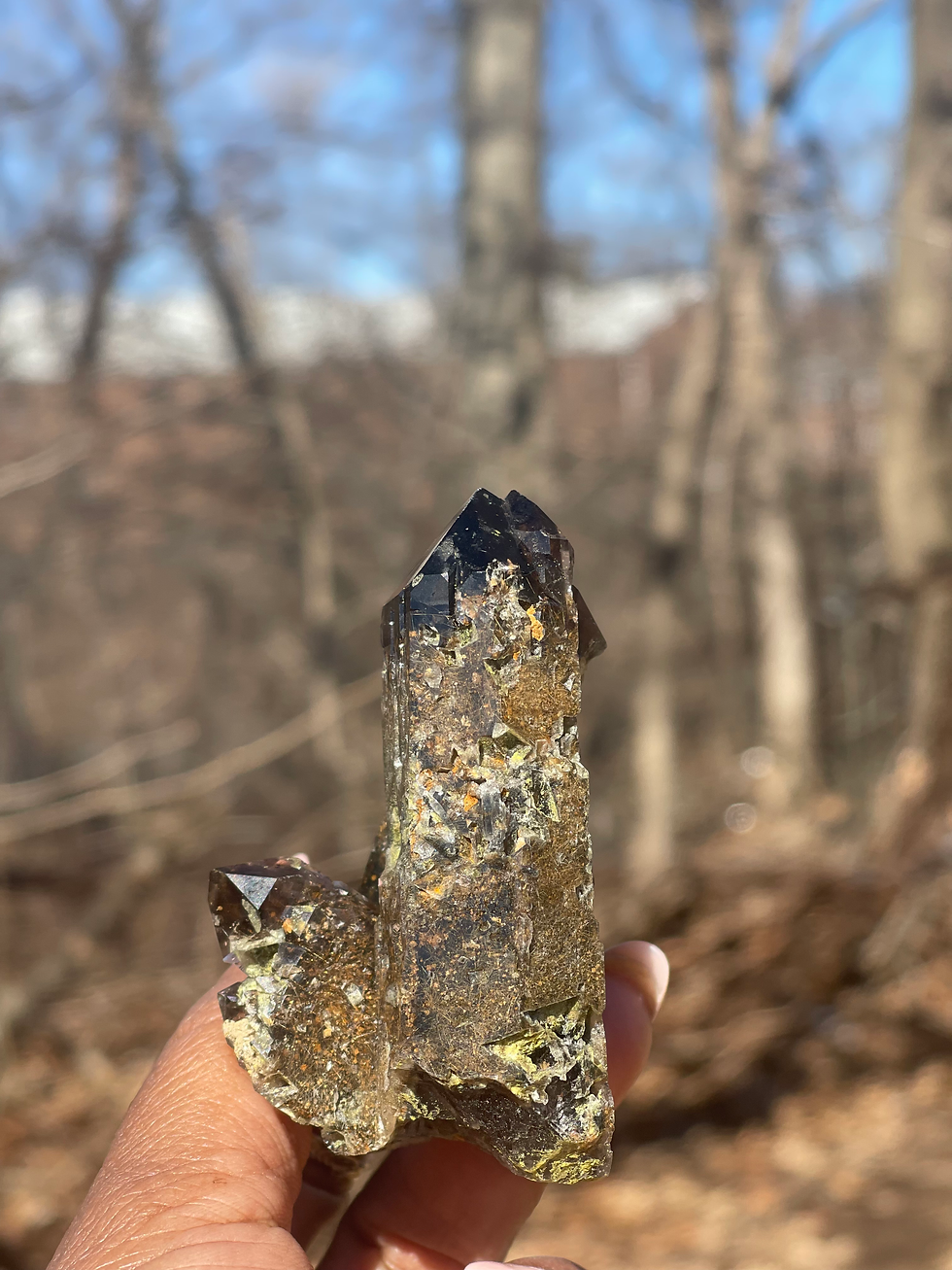 Thumbnail: Malawi 🇲🇼 Smokey Quartz W/ Aegirine | East Africa | RARE